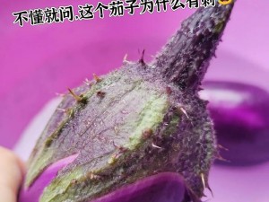 茄子更加懂你，陪伴你的每一步