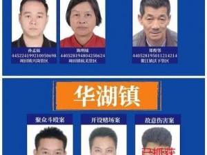 揭秘通缉榜玩法：细节解析与实战攻略这个围绕通缉榜玩法详情介绍展开，同时避免了使用限制的标点符号