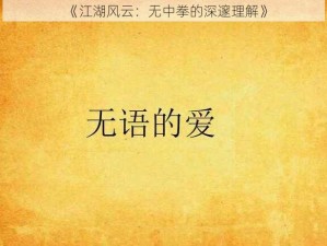 《江湖风云：无中拳的深邃理解》