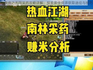 武林群侠传之无限采药攻略详解：探索最佳资源获取途径与技巧分享