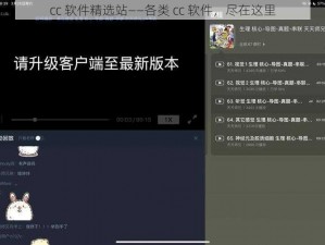 cc 软件精选站——各类 cc 软件，尽在这里