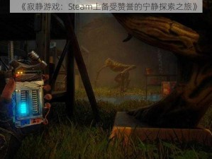 《寂静游戏：Steam上备受赞誉的宁静探索之旅》