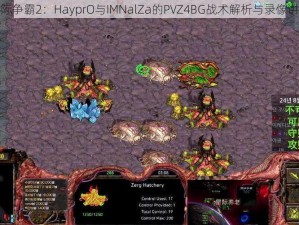 星际争霸2：HayprO与IMNalZa的PVZ4BG战术解析与录像讲解