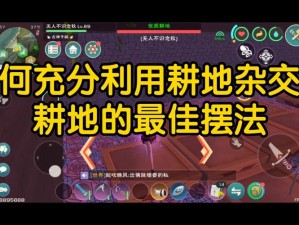 创新农业模式：魔法叠加耕地技术及其高效收成实践探索