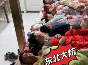 东北坑上全家乱日【东北大坑上，全家乱日的疯狂行为】