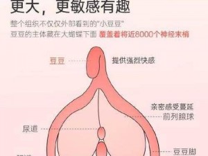 乱女 1-7 第一章：体验极致快感的成人玩具