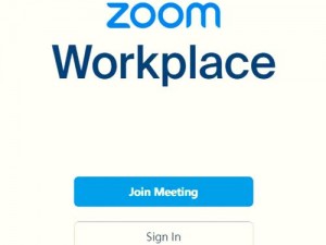 俄罗斯ZOOM与人性ZOOM—当俄罗斯 ZOOM 遇到人性 ZOOM，会发生怎样的故事？