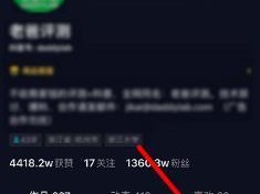 抖音故意走漏视频 7028 集破解 IOS，畅享无限精彩