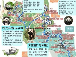 熊猫屁王攻略全解析：探索熊猫的独特魅力与趣味体验之旅