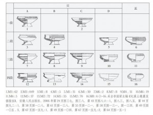 B的几种类型图例_B 的几种类型图例——探索 B 的不同表现形式