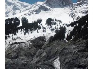 时刻：雪山生态深度剖析与探索