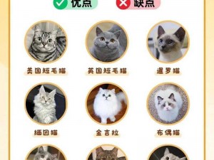 最全面的 battle cats 攻略，涵盖所有猫咪