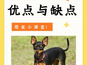 ZOOZOON 美国，创新科技与时尚的完美融合，打造独具个性的宠物产品