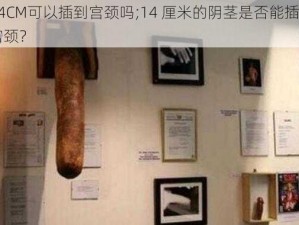 14CM可以插到宫颈吗;14 厘米的阴茎是否能插到宫颈？