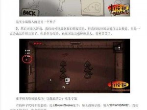 以撒重生键位操作指南：游戏操作全面解析