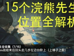 生化危机：浣熊市行动游戏故障解析与停止工作解决策略全攻略