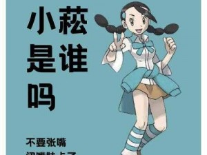 《小菘宝可梦大师之路：强力拍组解析详解》