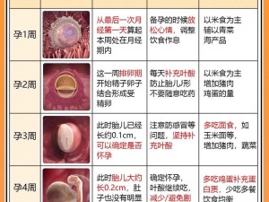 掌中美母 1-12 周依云：如何应对孕期不适？