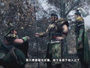 《真三国无双6》白金实玩心得分享：我的深度游戏体验与攻略解析