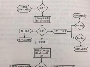 选择拉格朗日定向研究协议路线：如何结合事实信息进行策略性决策