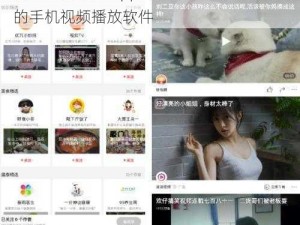 含羞草传媒黄 app 下载——一款功能强大的手机视频播放软件