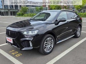 weyvv5国产的suv—weyvv5 是国产 SUV 吗？