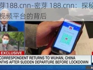 密芽188.cnn-密芽 188.cnn：探秘成人视频平台的背后