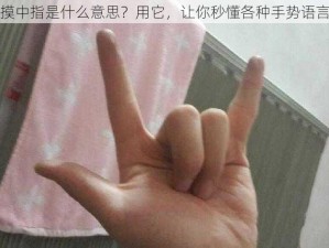 摸中指是什么意思？用它，让你秒懂各种手势语言