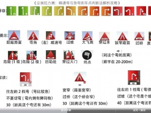 《尘埃拉力赛：精通弯与急弯刹车点判断法解析攻略》