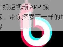 抖抈短视频APP探探-抖抈短视频 APP 探探，带你探索不一样的世界