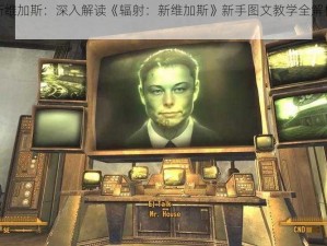 初探新维加斯：深入解读《辐射：新维加斯》新手图文教学全解析（上篇）