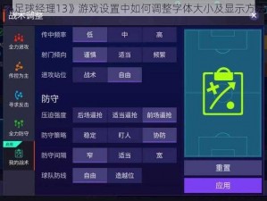 《FIFA足球经理13》游戏设置中如何调整字体大小及显示方法详解