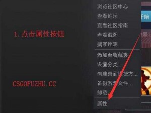 CSGO国际服启动设置详解：如何优化配置启动项以提升游戏体验