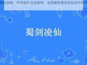 蜀剑凌仙攻略：双开挂机实战指南，全面解析蜀剑凌仙双开玩法图文攻略