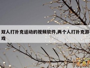 扑克又疼又叫的视频 APP 开发，带来全新视觉体验