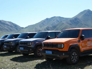 亚洲无人区码SUV(亚洲无人区码 SUV 大揭秘：是探险还是冒险？)