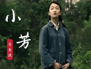 姑父有力挺送小芳的演员表，汇聚众多实力演员，演绎精彩剧情