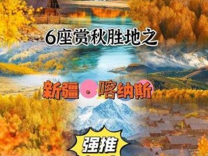 剑影金秋盛宴揭秘：丰饶深秋活动解析与玩法指南