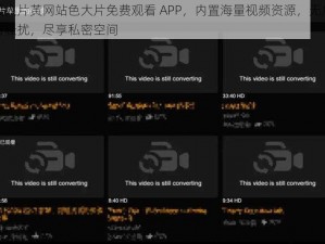 成人片黄网站色大片免费观看 APP，内置海量视频资源，无广告骚扰，尽享私密空间