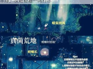 《空洞骑士》诸神堂各难度挑战全解析：奖励丰厚，攻略秘籍一网打尽