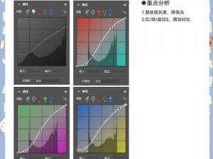 免费提供专业级 PS 大片调色视频软件下载，让你的视频更具大片质感