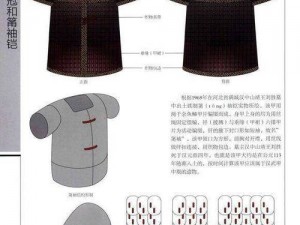 大掌门乙级服饰玄铁重甲图鉴：探索古代铠甲的精湛工艺与深厚文化