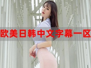 为什么看欧美视频总是找不到资源？如何在线观看欧美视频？有哪些方法可以顺畅观看欧美视频？