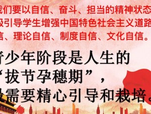 谁可领取小队任务：任务分配与责任担当的探讨