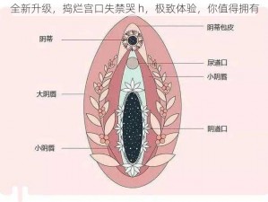 全新升级，捣烂宫口失禁哭 h，极致体验，你值得拥有