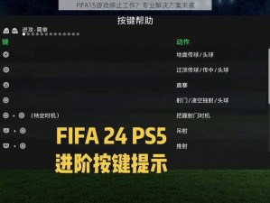 FIFA15游戏停止工作？专业解决方案来袭