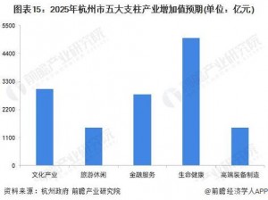 特大城市2011年发展洞察：心得与前瞻