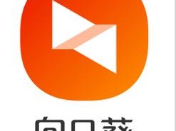 向日葵APP下载免安卓费老版—向日葵 APP 下载免安卓费老版，经典版本等你来