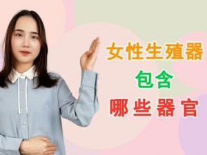 女人私处特写图片：女性生殖器官结构展示