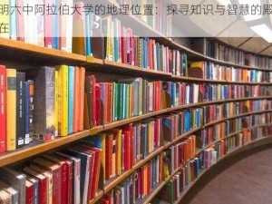 文明六中阿拉伯大学的地理位置：探寻知识与智慧的殿堂所在